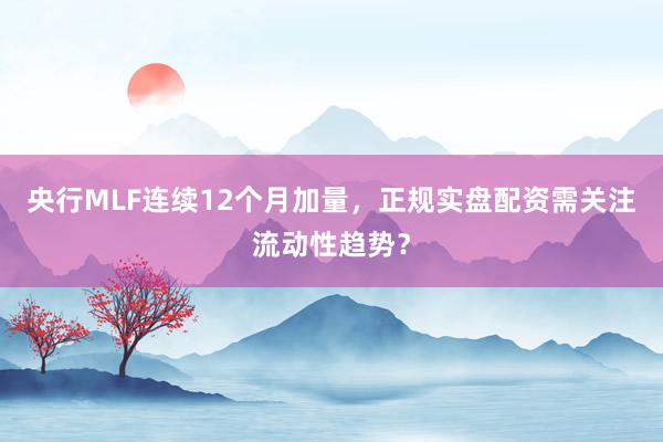央行MLF连续12个月加量,正规实盘配资需关注流动性趋势?
