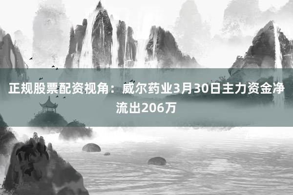 正规股票配资视角：威尔药业3月30日主力资金净流出206万
