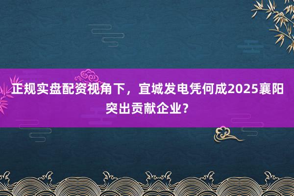 正规实盘配资视角下,宜城发电凭何成2025襄阳突出贡献企业?