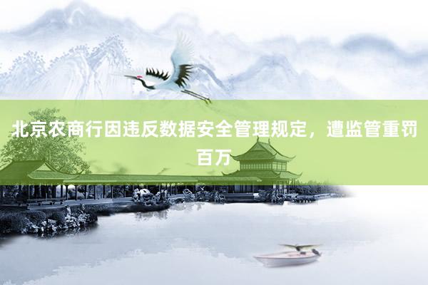 北京农商行因违反数据安全管理规定，遭监管重罚百万