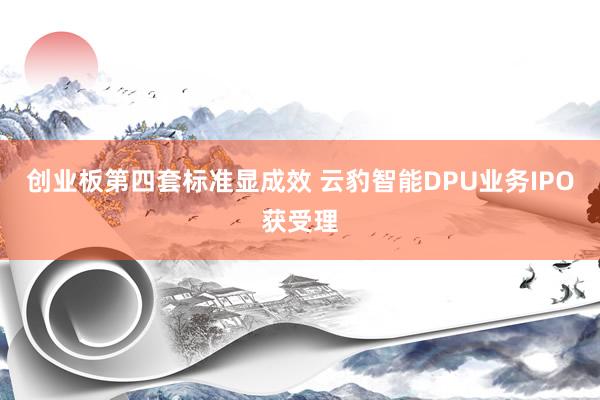 创业板第四套标准显成效 云豹智能DPU业务IPO获受理