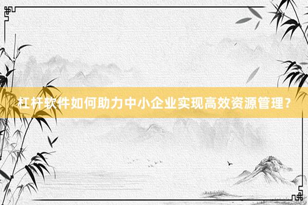 杠杆软件如何助力中小企业实现高效资源管理？