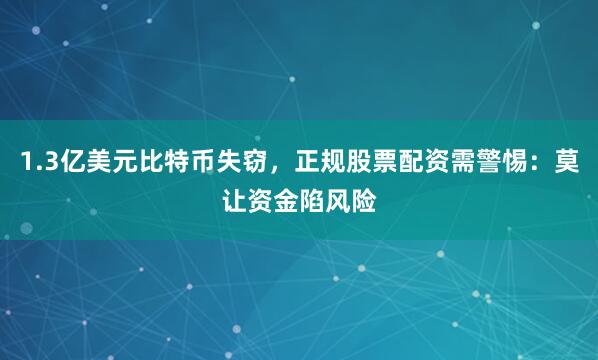 1.3亿美元比特币失窃，正规股票配资需警惕：莫让资金陷风险