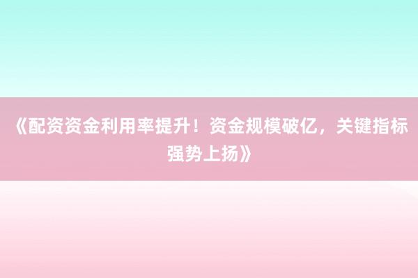 《配资资金利用率提升!资金规模破亿,关键指标强势上扬》