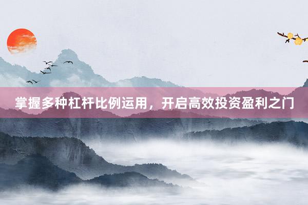 掌握多种杠杆比例运用，开启高效投资盈利之门